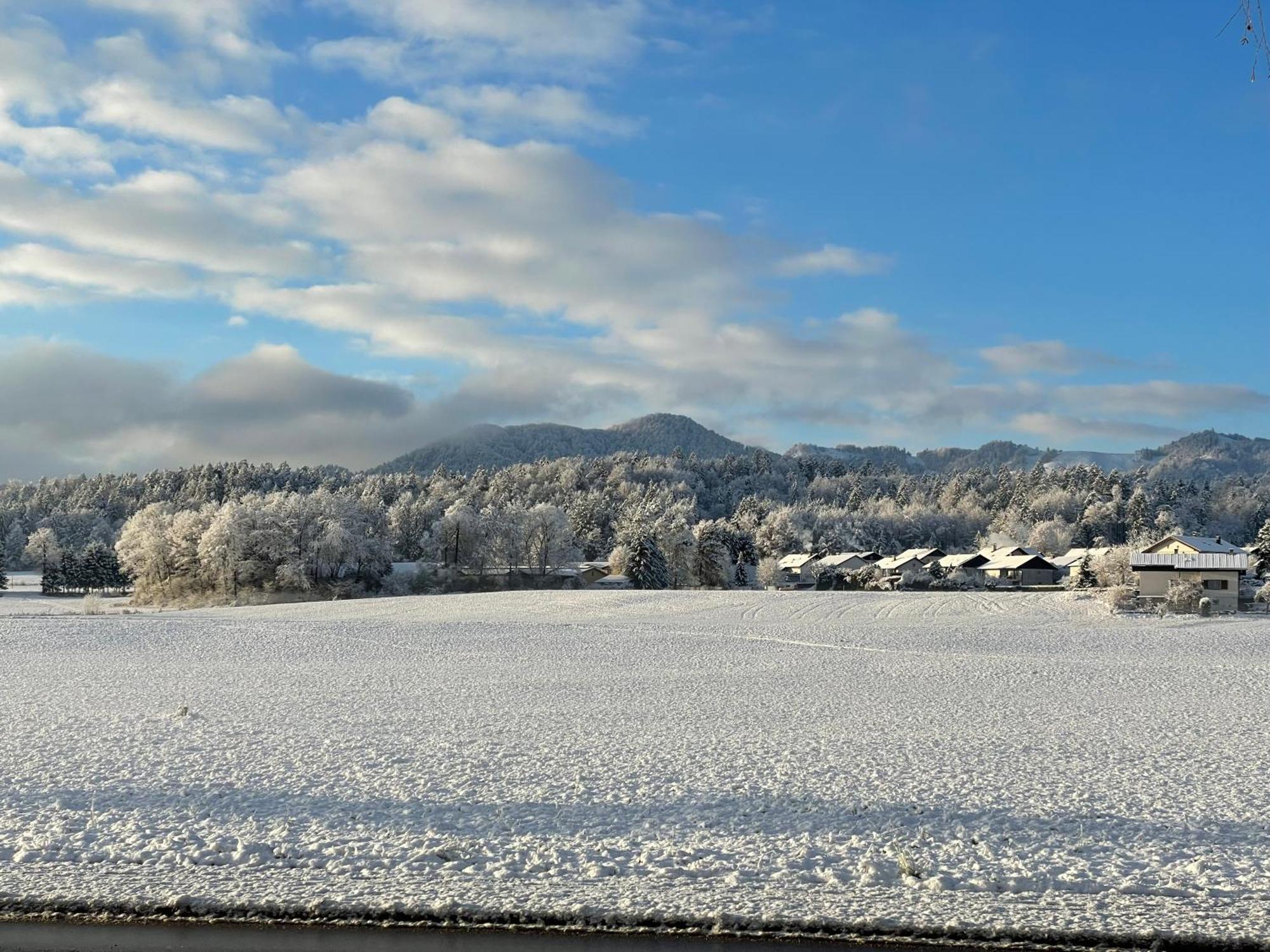 Guesthouse Stremljan Ljubljana เมดโวเด ภายนอก รูปภาพ